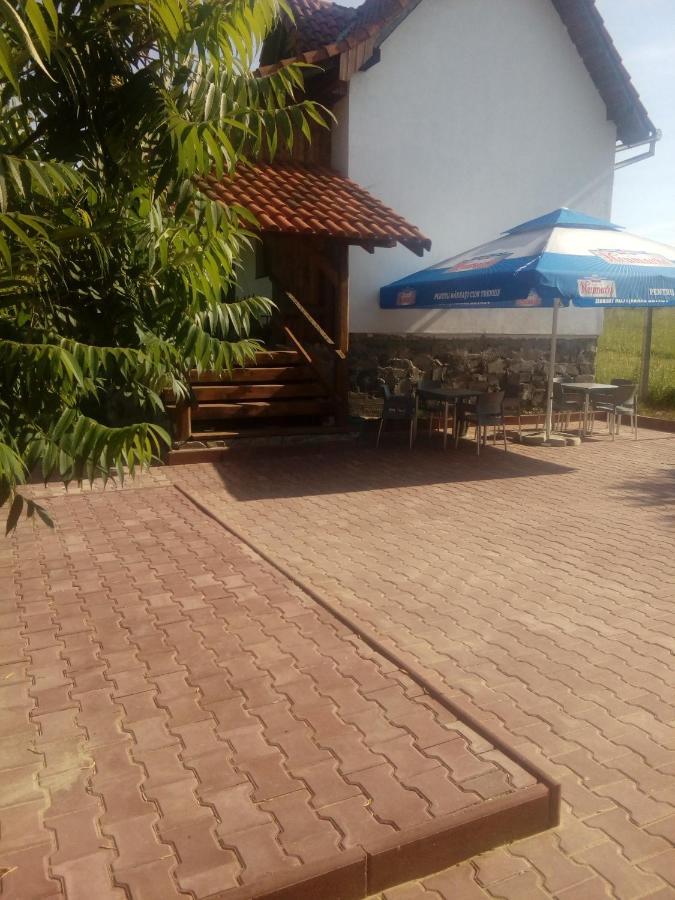 Vila Sura Razoare Sighişoara Exterior foto