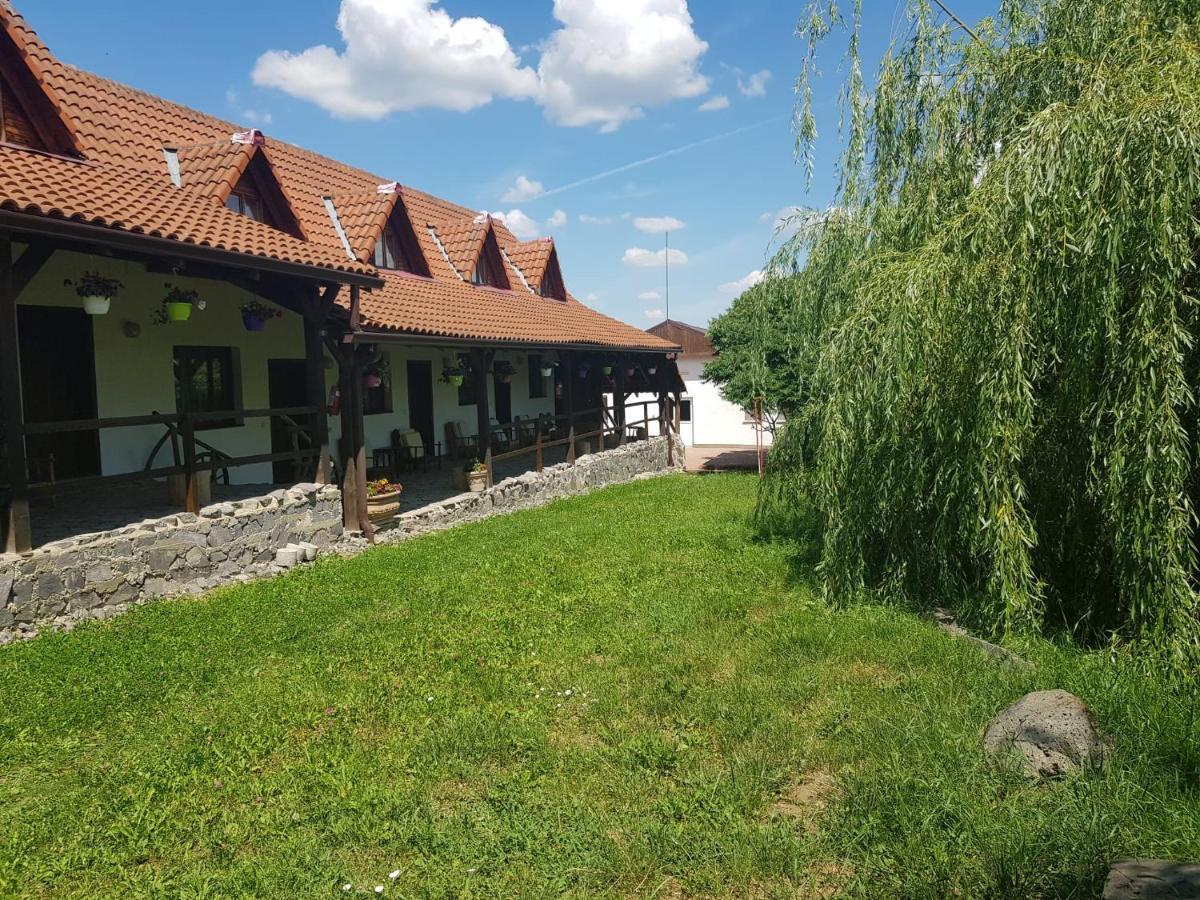 Vila Sura Razoare Sighişoara Exterior foto