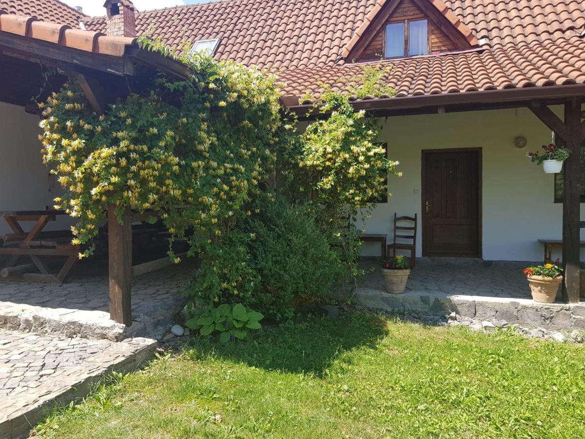 Vila Sura Razoare Sighişoara Exterior foto