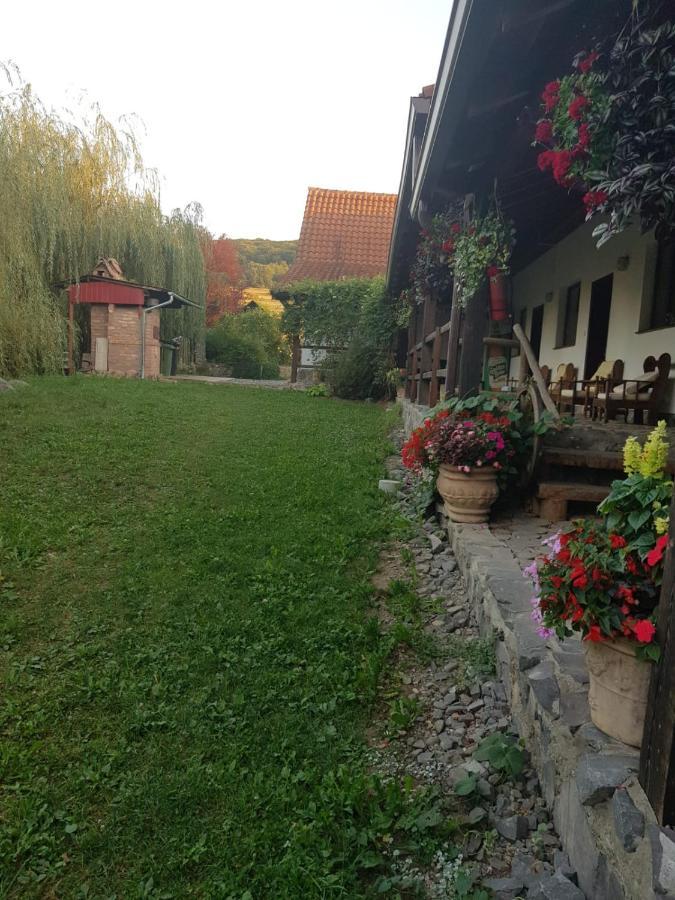 Vila Sura Razoare Sighişoara Exterior foto