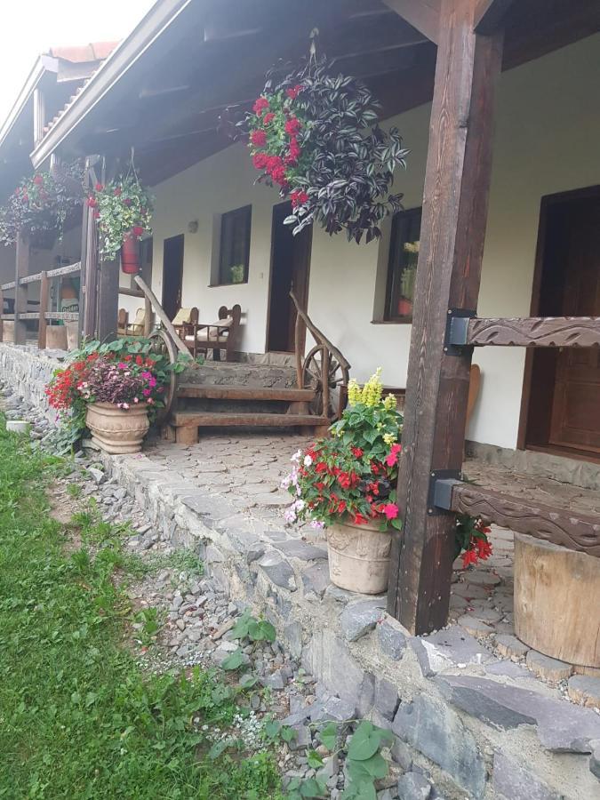 Vila Sura Razoare Sighişoara Exterior foto
