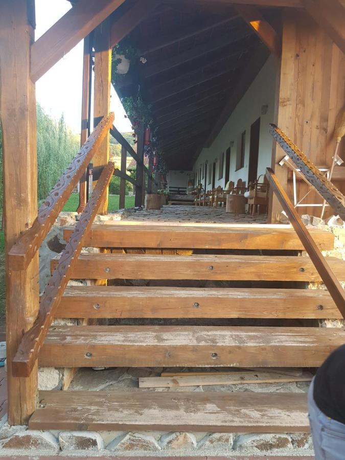 Vila Sura Razoare Sighişoara Exterior foto