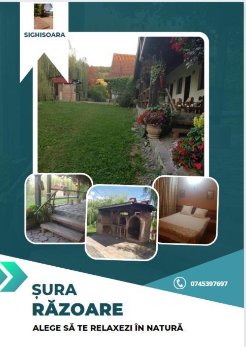Vila Sura Razoare Sighişoara Exterior foto